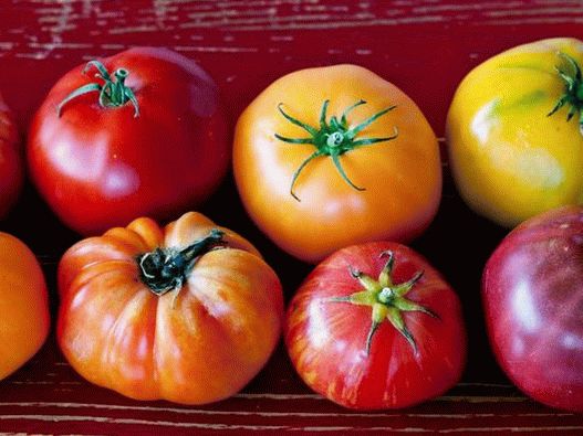 Les tomates s'intègrent parfaitement à tous les plats et conviennent particulièrement bien aux salades capreses ou aux gaspachos froids