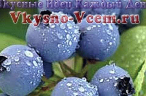 Myrtilles pour l'hiver. Recettes