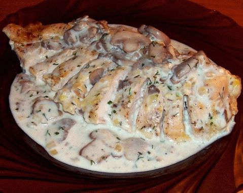 Poulet à la crème sure - des recettes pour tous les jours