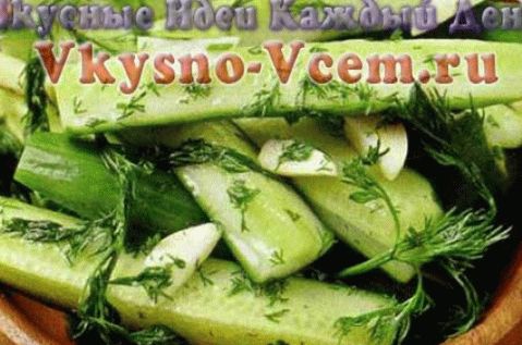 concombres salés rapide