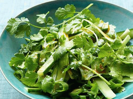 Photo Salade de concombre épicée à la coriandre et aux oignons verts