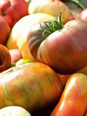 Photo - Tomates Héréditaires
