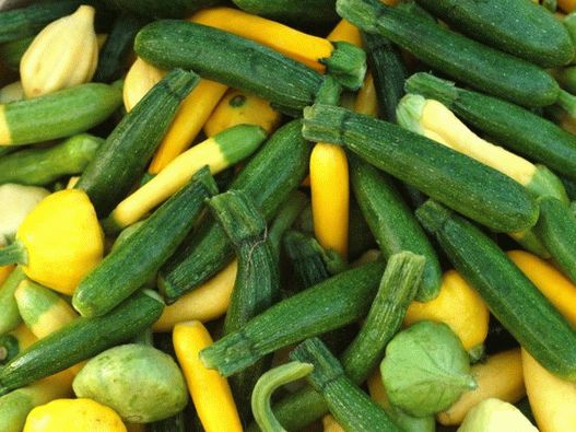 Photo - courgette et citrouille