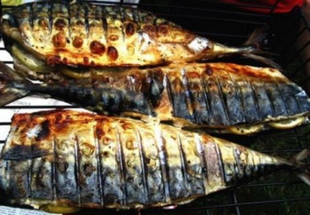 Maquereau grillé au citron